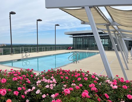 rooftop swimming pool