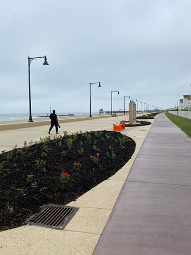 Buckroe Beach Seawall
Site
Sundek
